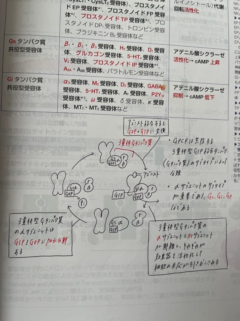 み*ん様 110回薬剤師国家試験対策参考書 青本 青問 全巻セット