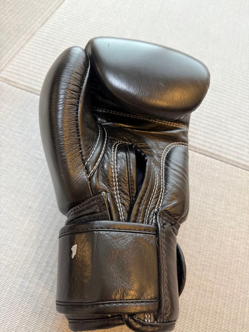 windyグローブ　10oz 黒