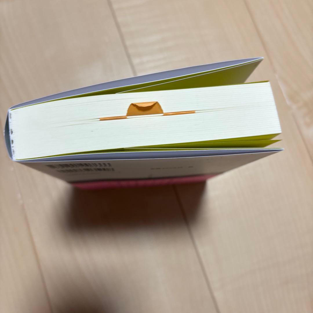 【ほぼ新品】DUB論　改訂版
