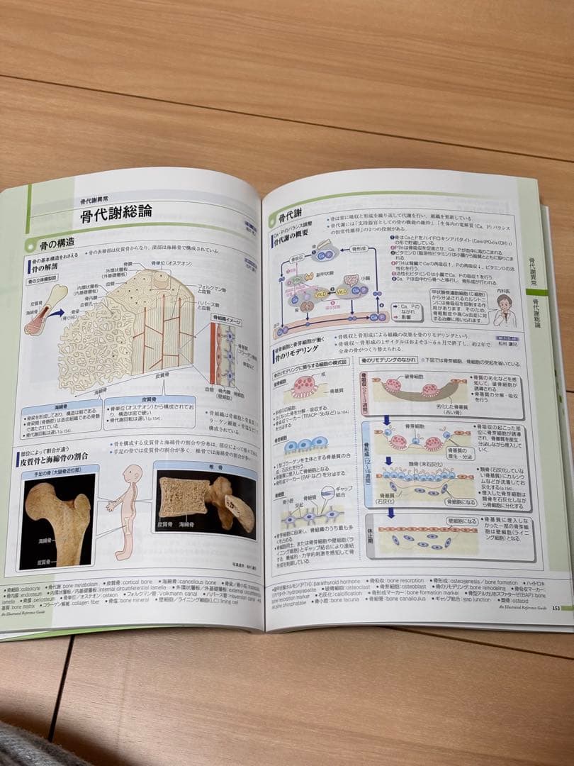 病気がみえる 1〜12巻 セット ほぼ未使用 書き込みなし 医学書