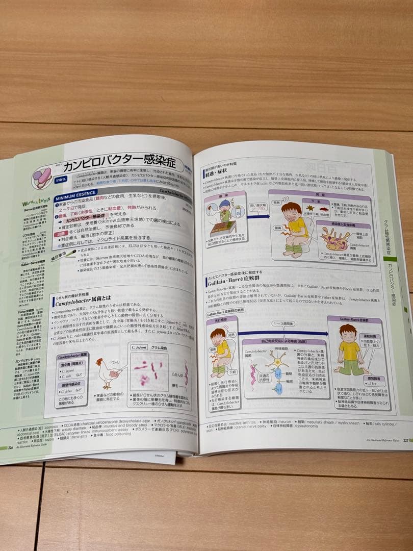 病気がみえる 1〜12巻 セット ほぼ未使用 書き込みなし 医学書