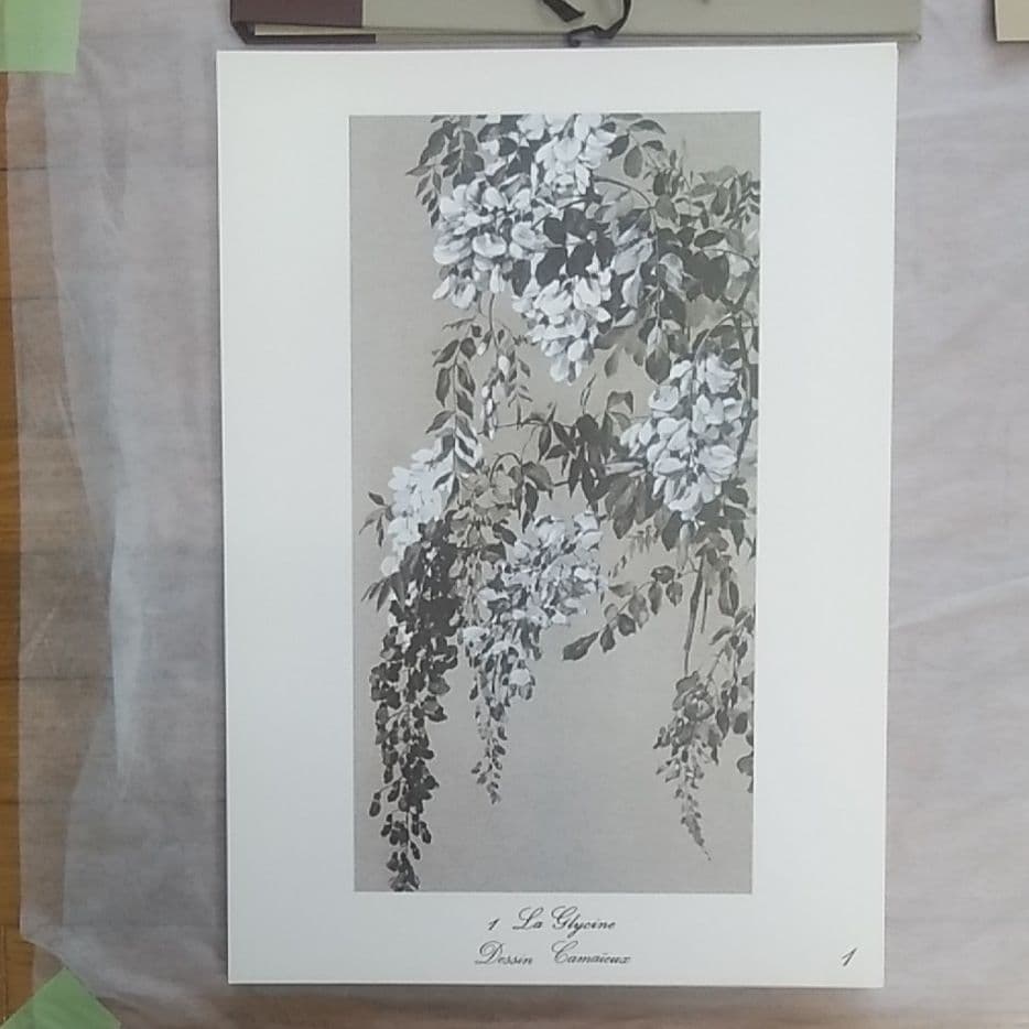 ＤＥＳＳＩＮＥＲ　ＤＥＳ　ＦＬＥＵＲＳ（花を描きます）