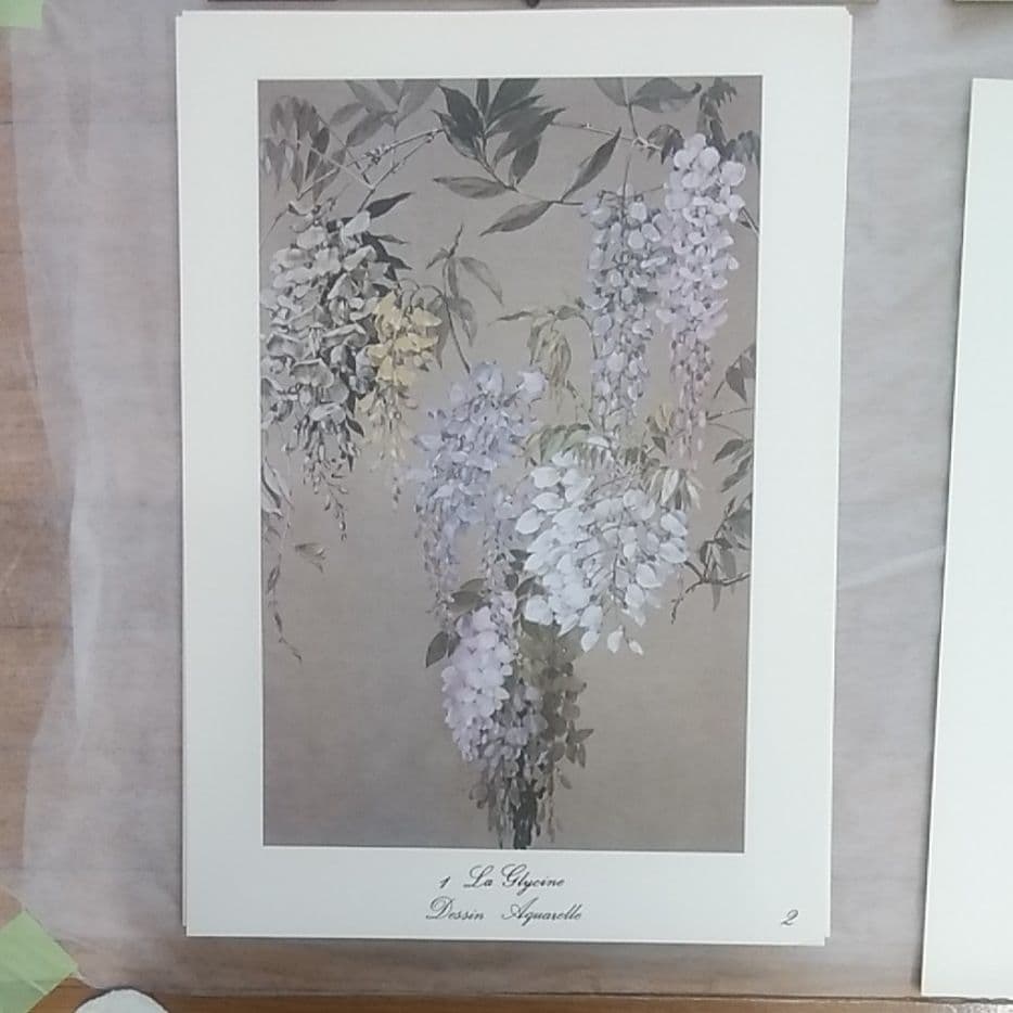 ＤＥＳＳＩＮＥＲ　ＤＥＳ　ＦＬＥＵＲＳ（花を描きます）
