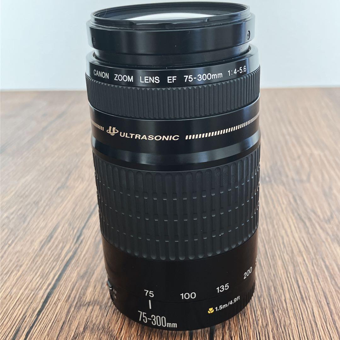 美品　Canon EF 75-300mm f/4-5.6 USM ズームレンズ