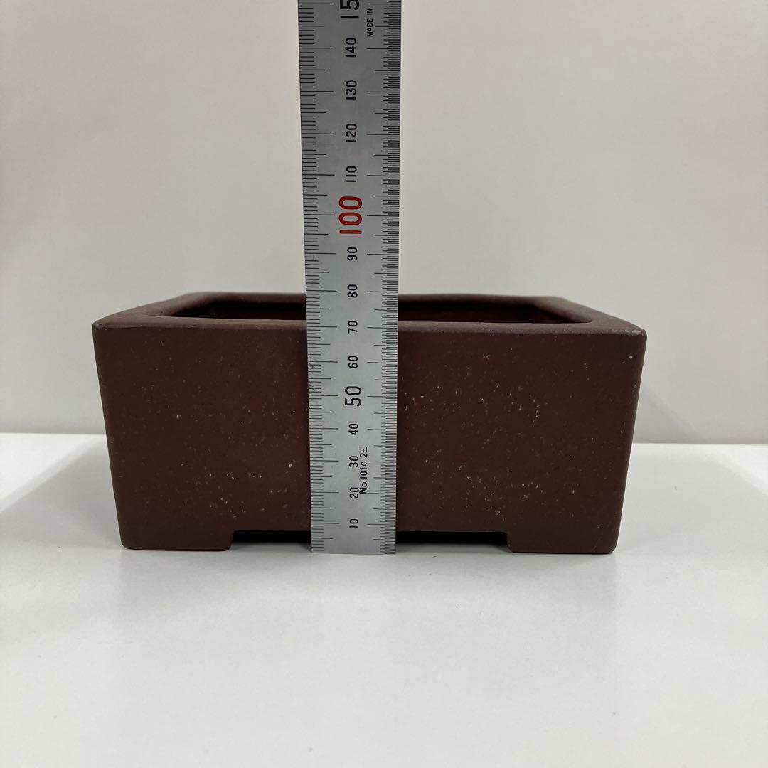 松泉焼　山秋造　盆栽鉢　植木鉢　小品盆栽　山野草