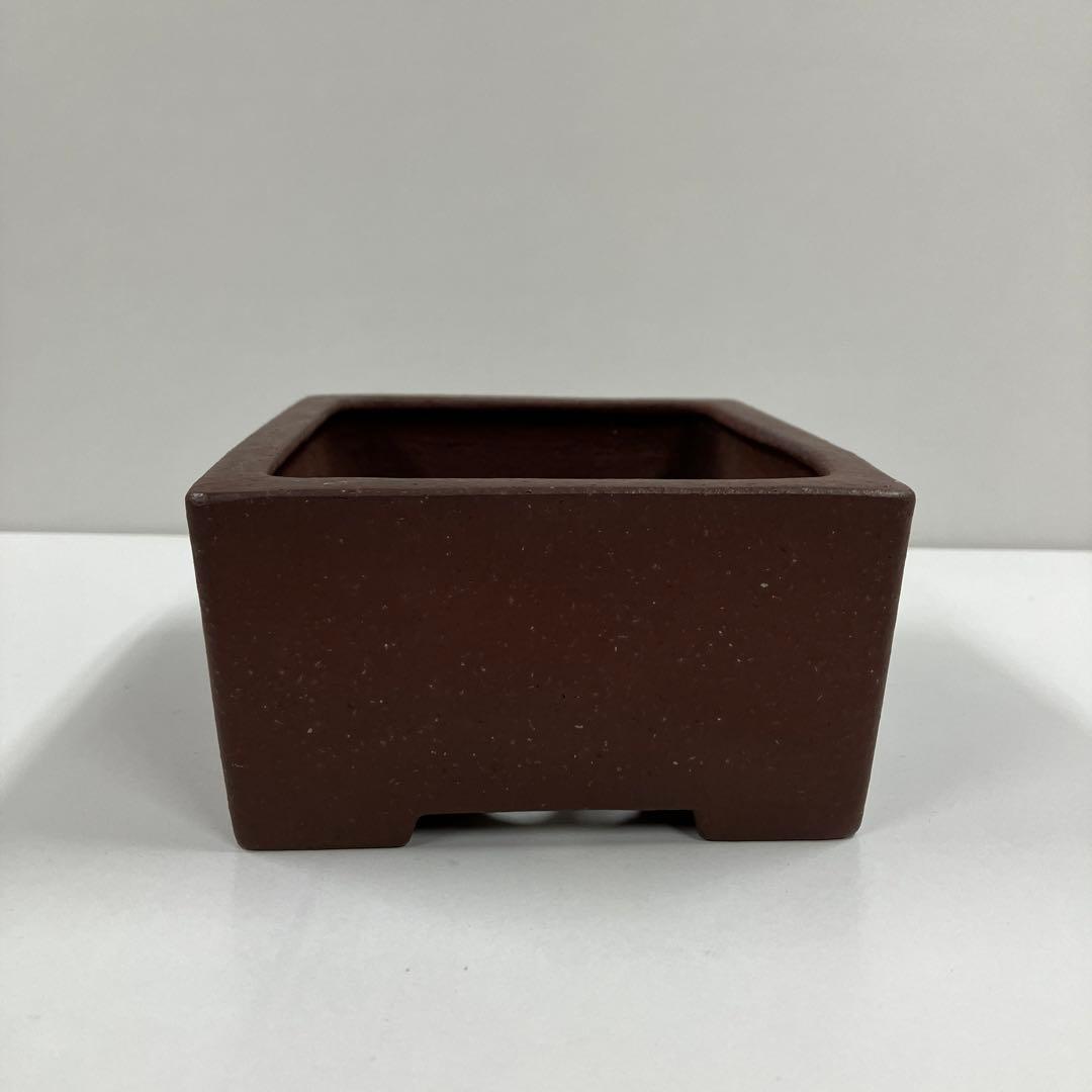 松泉焼　山秋造　盆栽鉢　植木鉢　小品盆栽　山野草