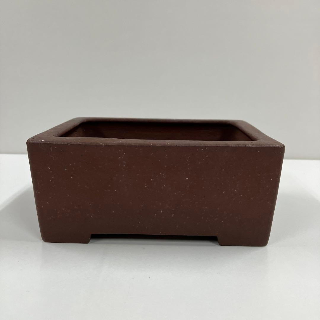 松泉焼　山秋造　盆栽鉢　植木鉢　小品盆栽　山野草