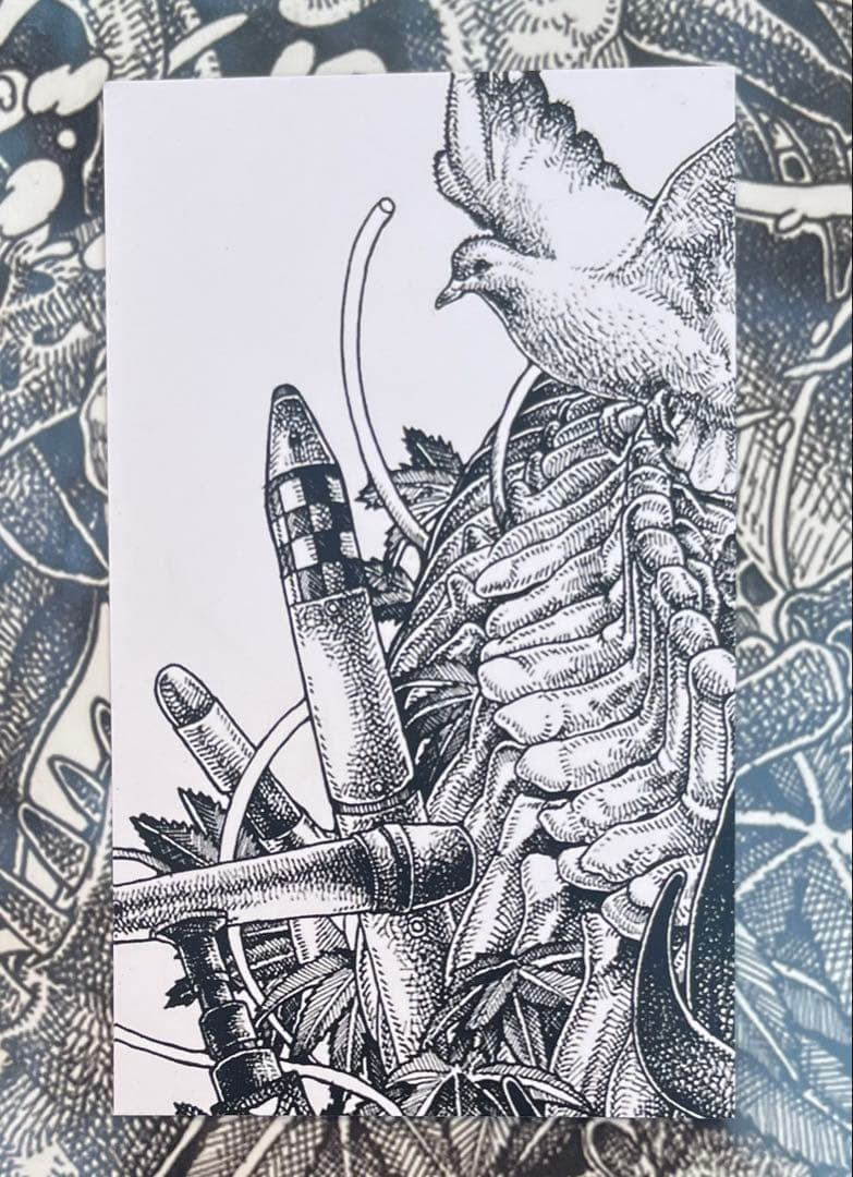 キズ / 鳳凰
