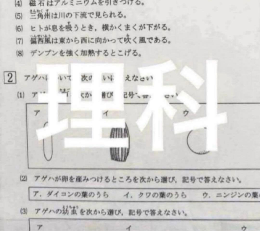 もっち様