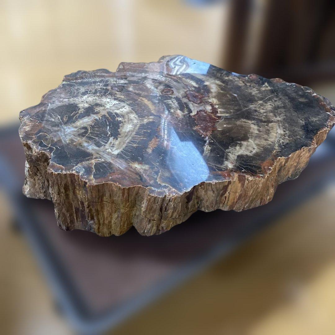珪化木 中生代ジュラ紀 約33.5cm 約8kg