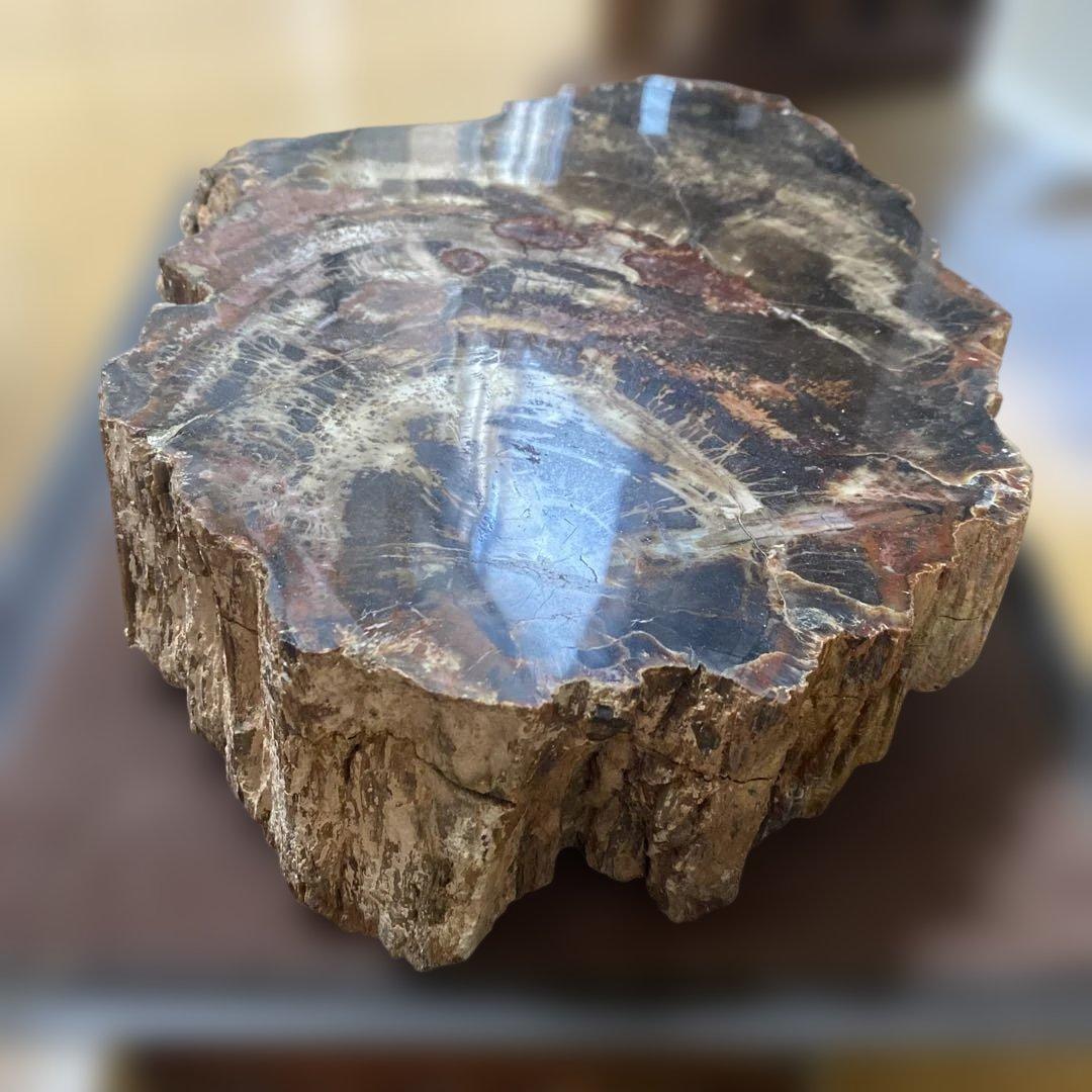 珪化木 中生代ジュラ紀 約33.5cm 約8kg