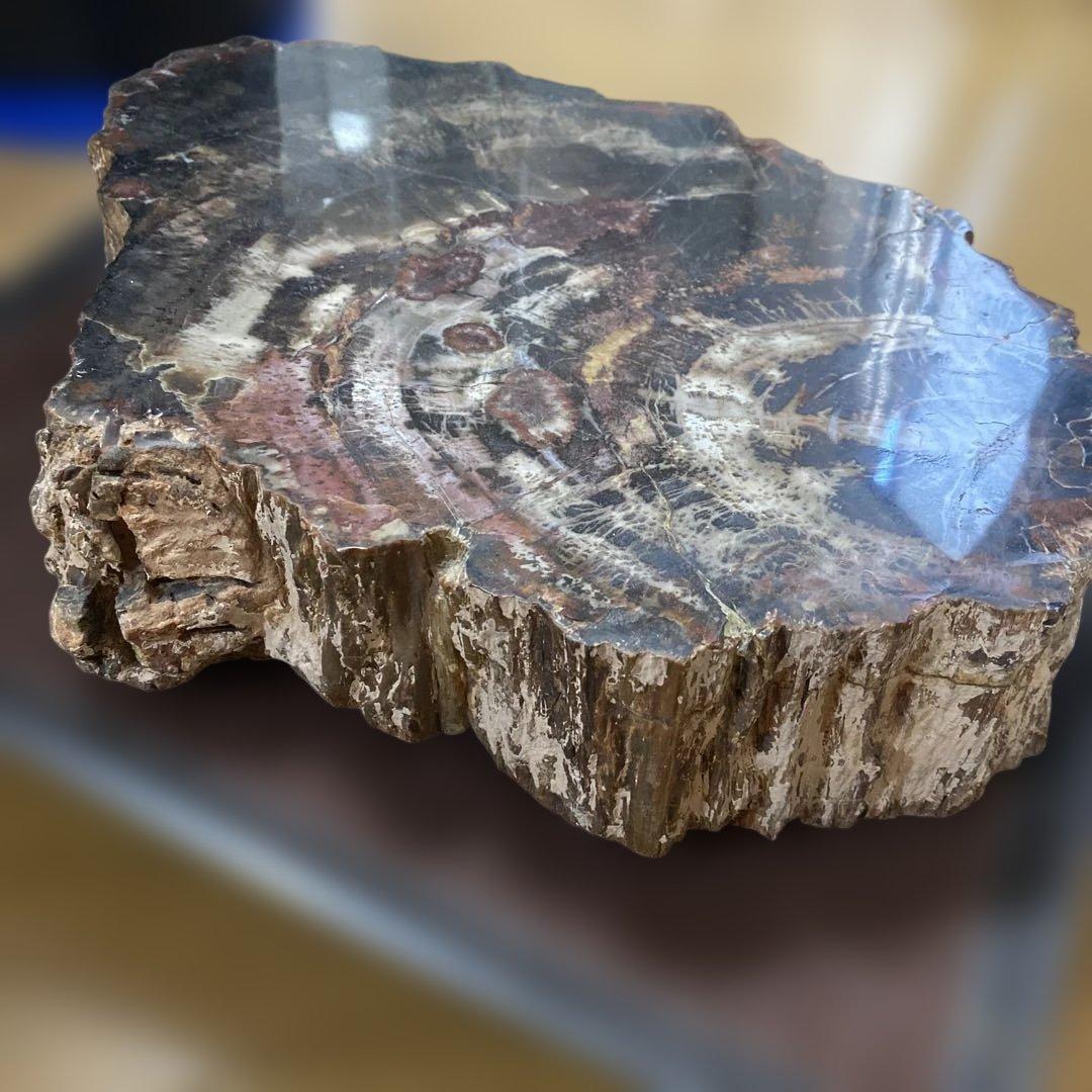 珪化木 中生代ジュラ紀 約33.5cm 約8kg