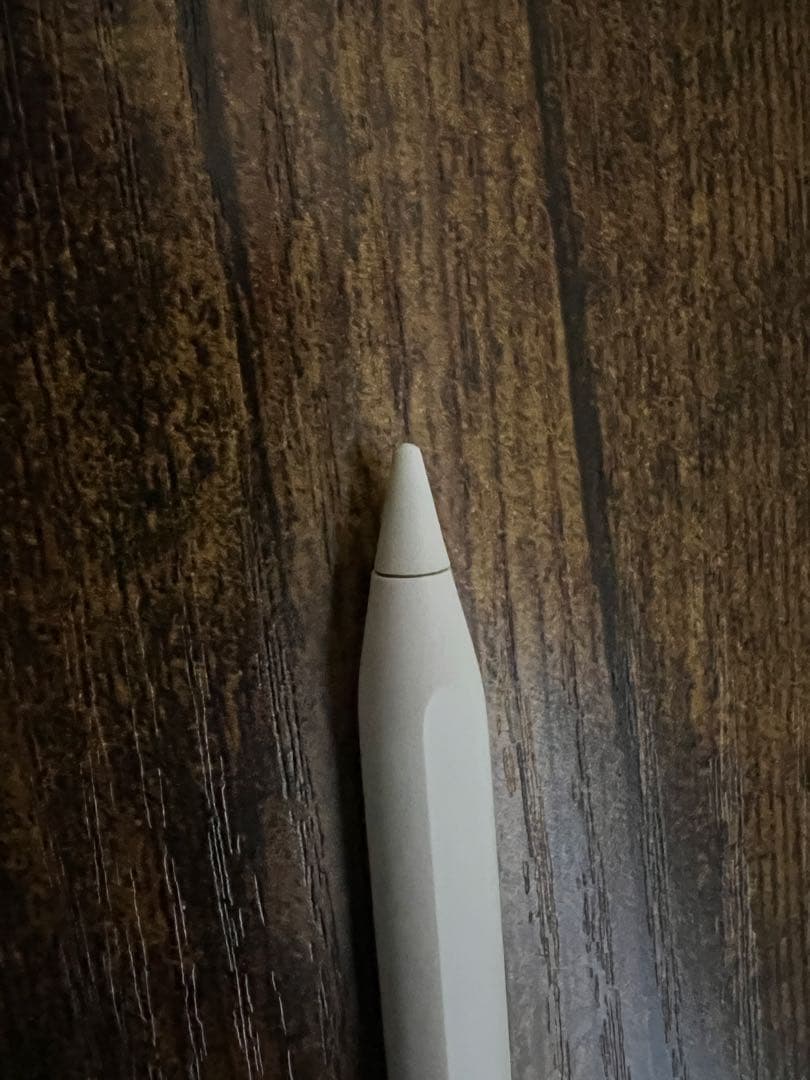 iPad Pro 12.9インチ 第5世代 本体 + Apple Pencil