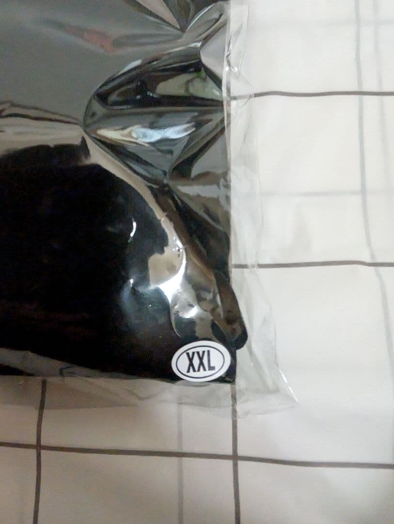 Hi-Standard JOEL ZIP HOODIE　パーカー　XXL