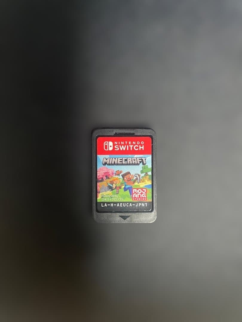 Nintendo Switch Lite ターコイズ＋マインクラフト