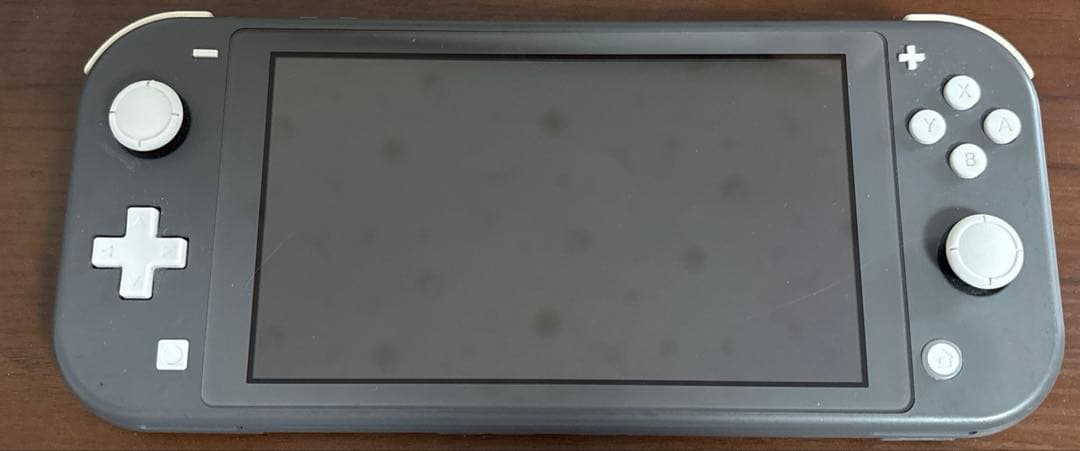 Nintendo Switch ライト グレー もる様専売