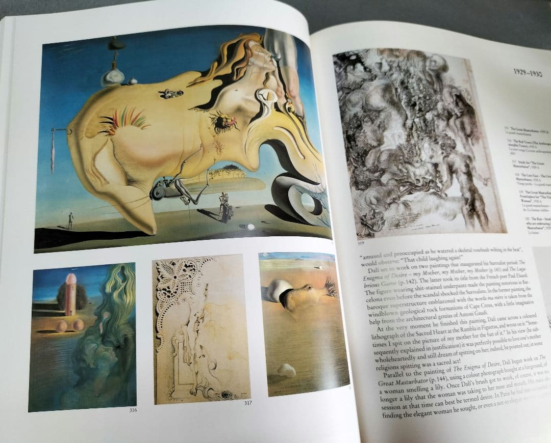 サルバドール・ダリ 全画集 全2巻 [アート・洋書]
