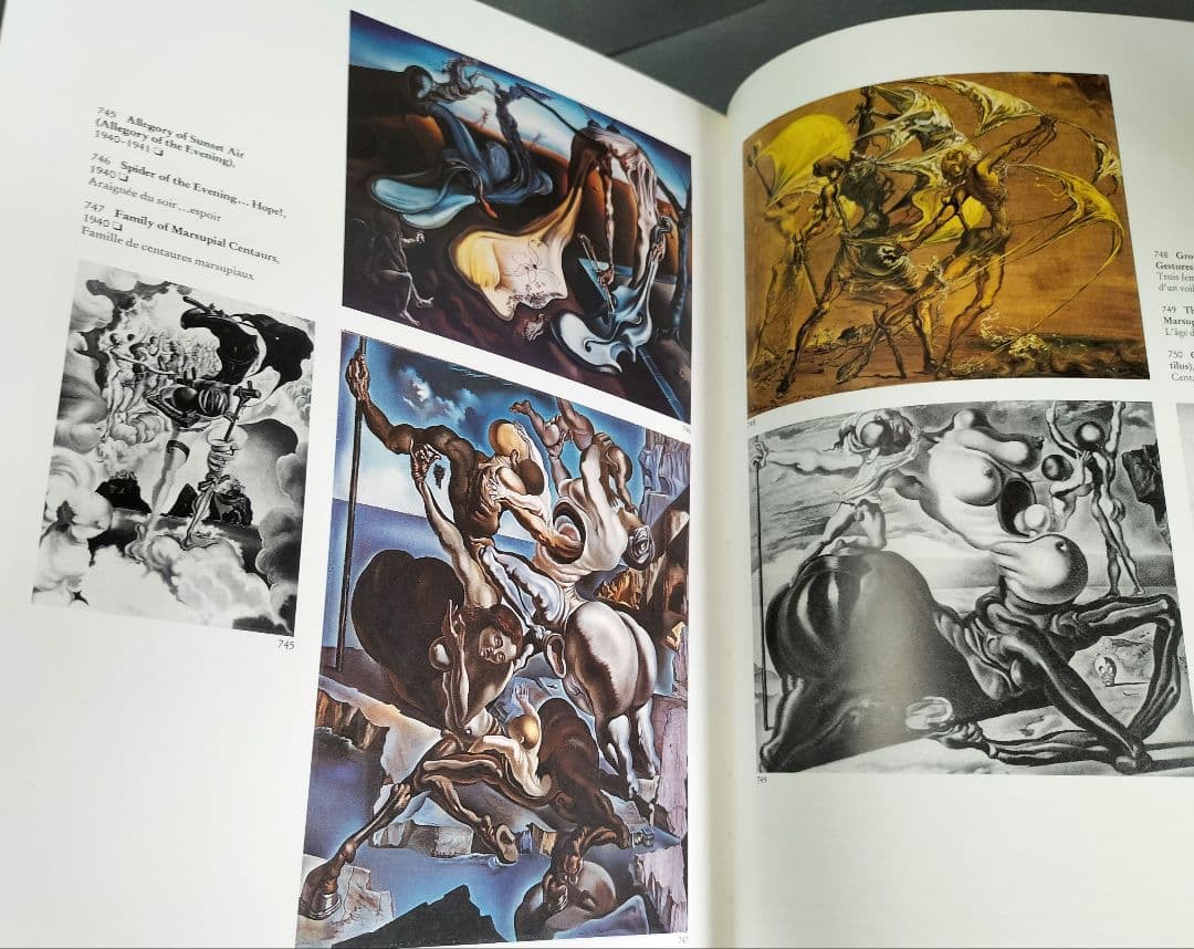 サルバドール・ダリ 全画集 全2巻 [アート・洋書]