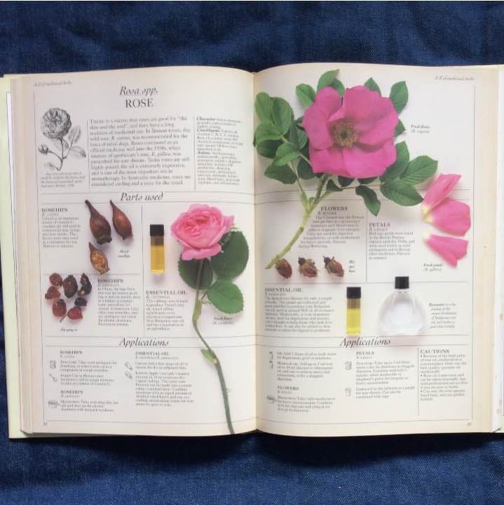 洋書 Complete MEDICINALS HERBAL
