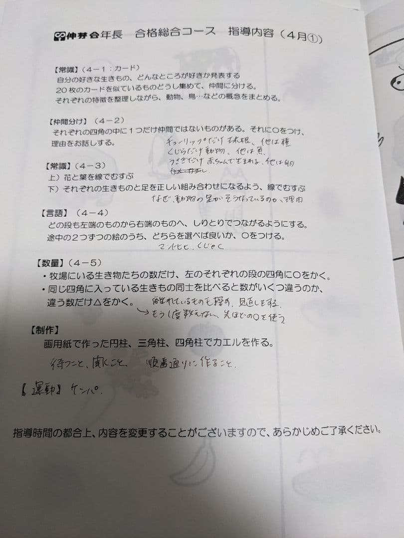 小学校受験　伸芽会　年長合格総合コース 指導内容 9セット