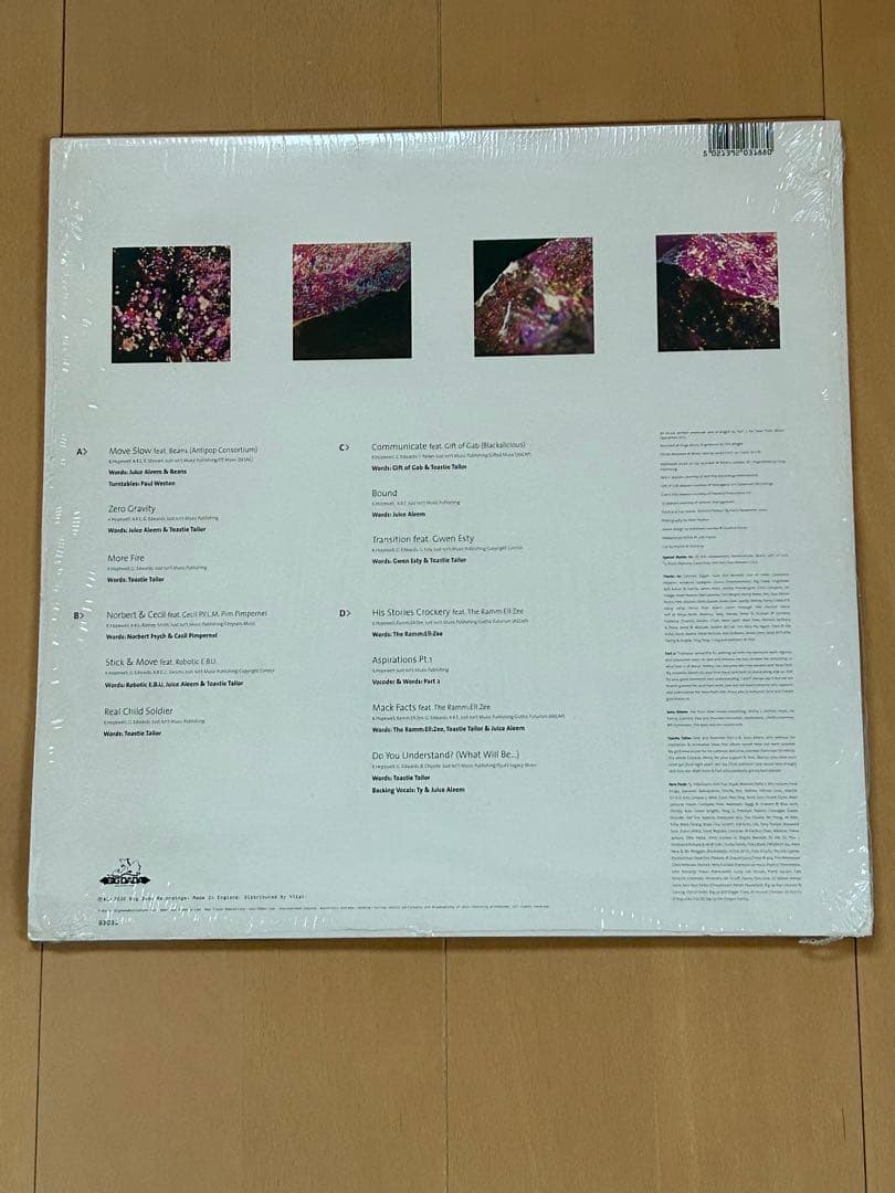 new flesh / understanding 2枚組レコード