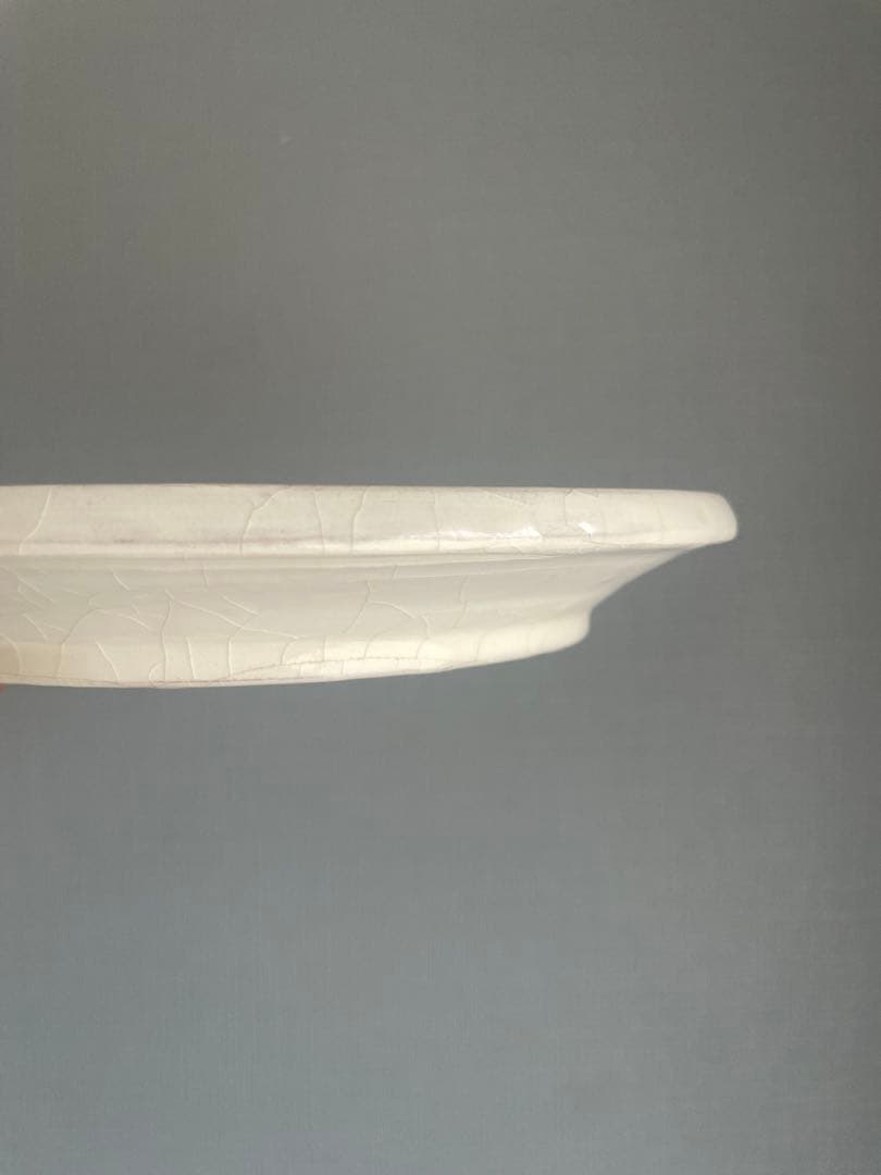 【3/29迄】未使用品　谷口竜　7寸皿　ペア　作家　陶芸　茶器　酒器　うつわ