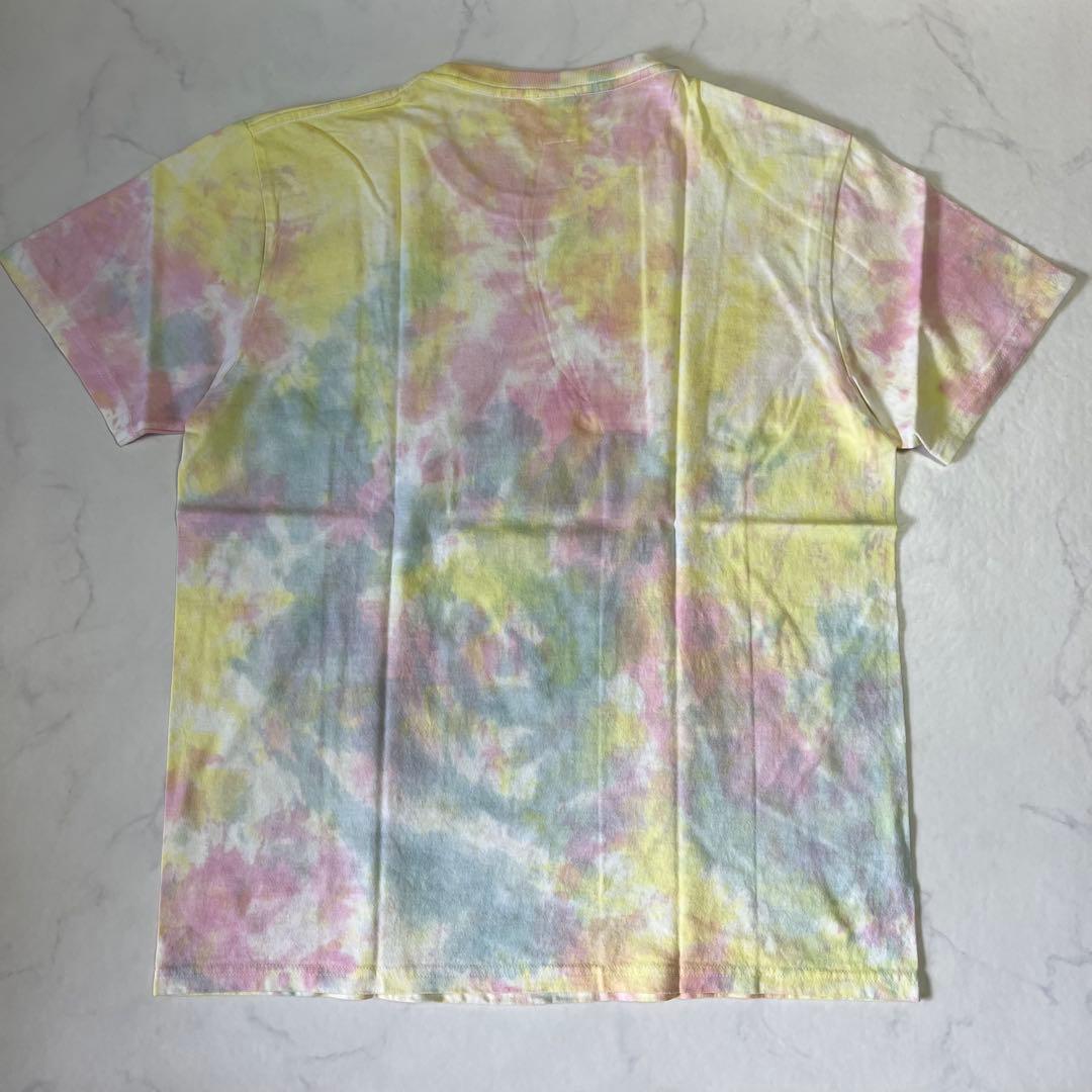 【まとめ売り】TACOMA FUJI RECORDS Tシャツ2枚セット