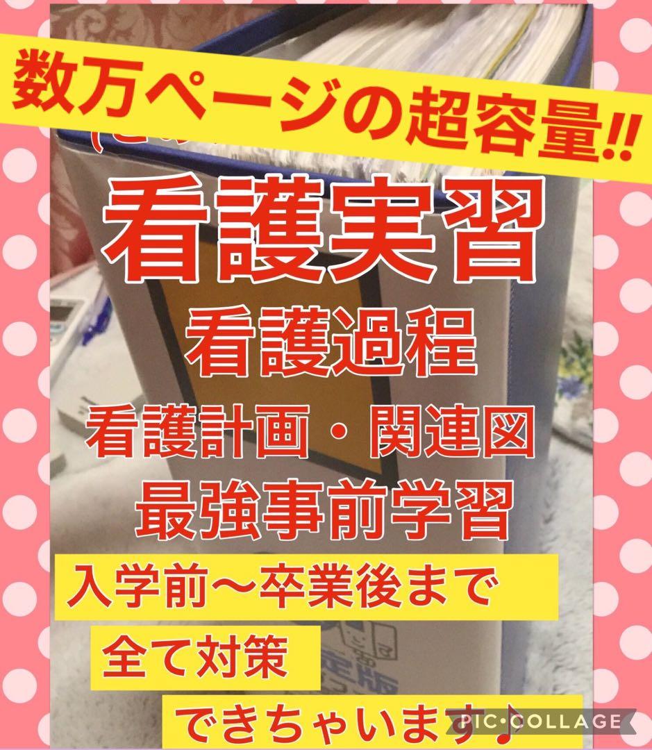看護学校 看護学生 看護過程 看護実習 手順書 関連図 レポート 国家試験 国試