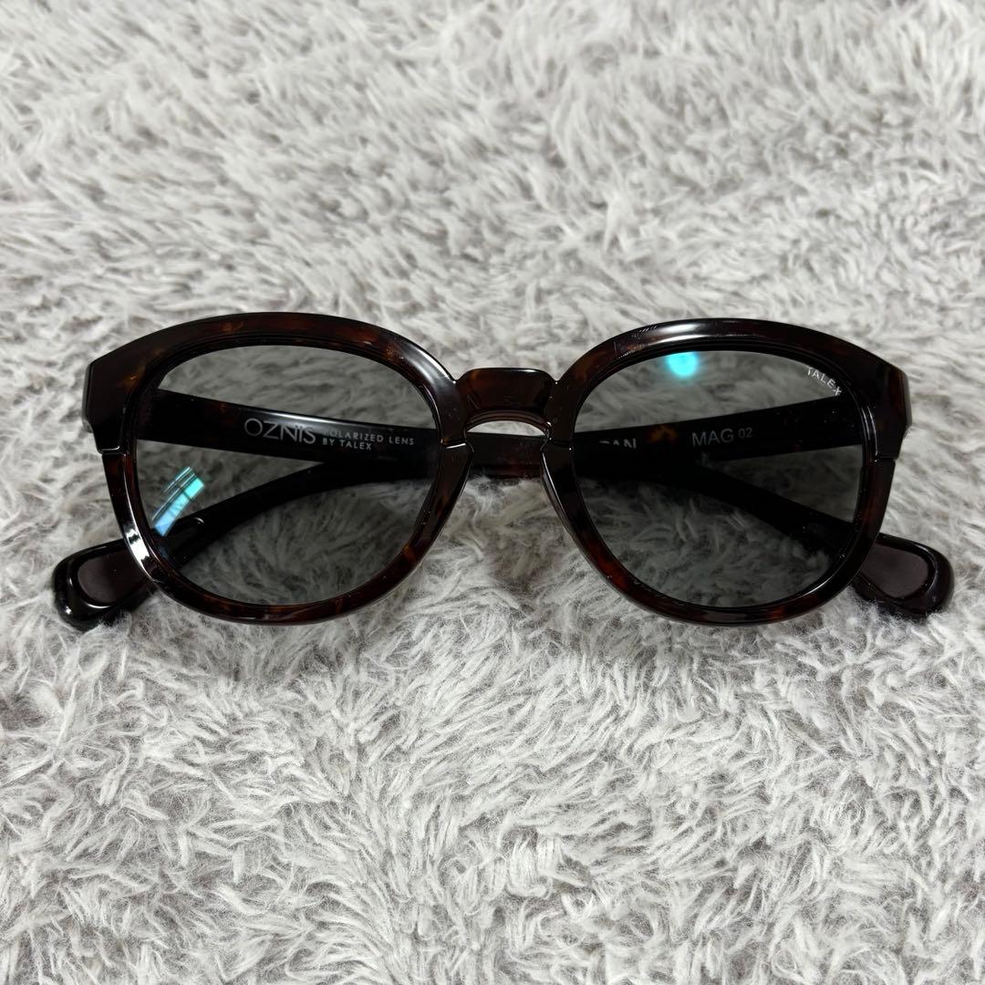 TALEX MAG02 スタイルスライドTRUEVIEW FOCUS サングラス