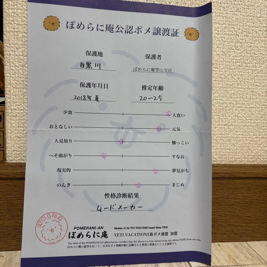 POMENUI ぽめらに庵 YETIVACATIONS