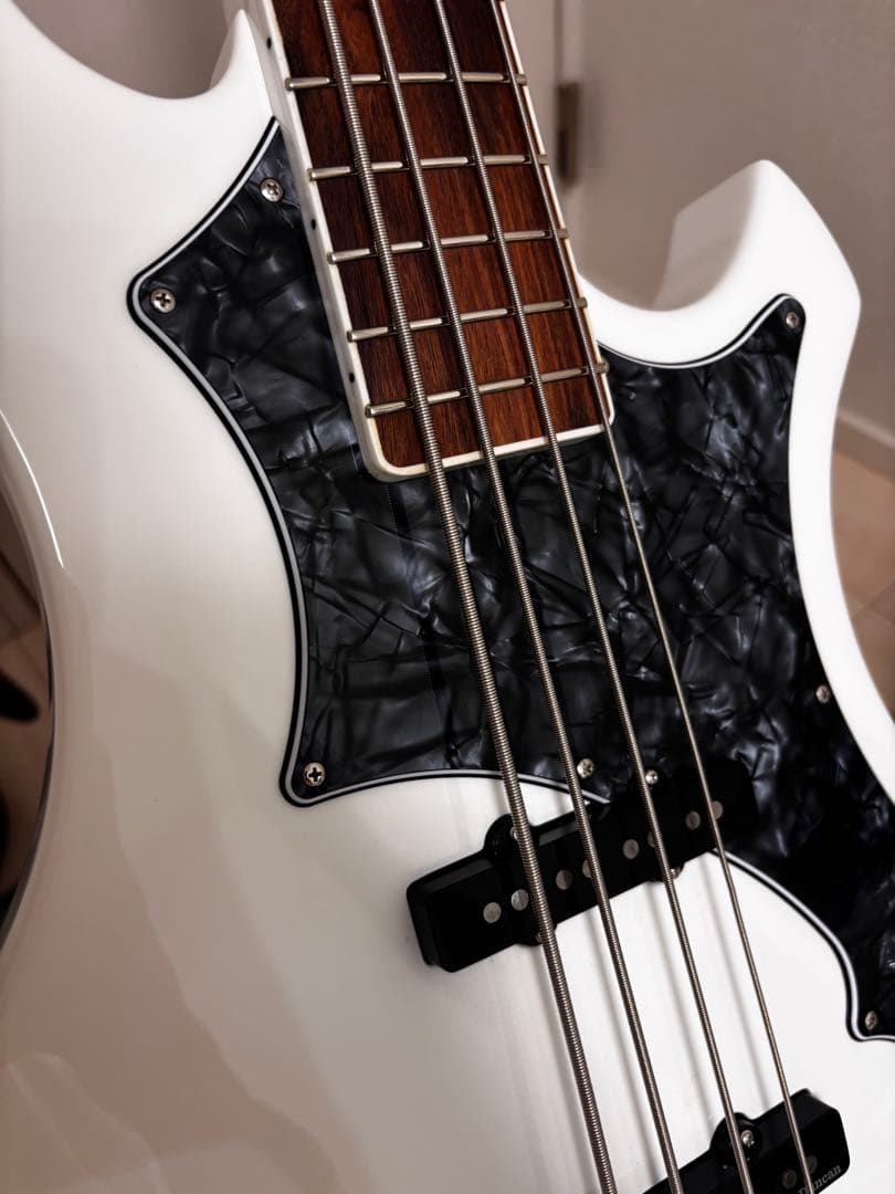 EDWARDS E-RF-137SL ベース　ESP the gazette