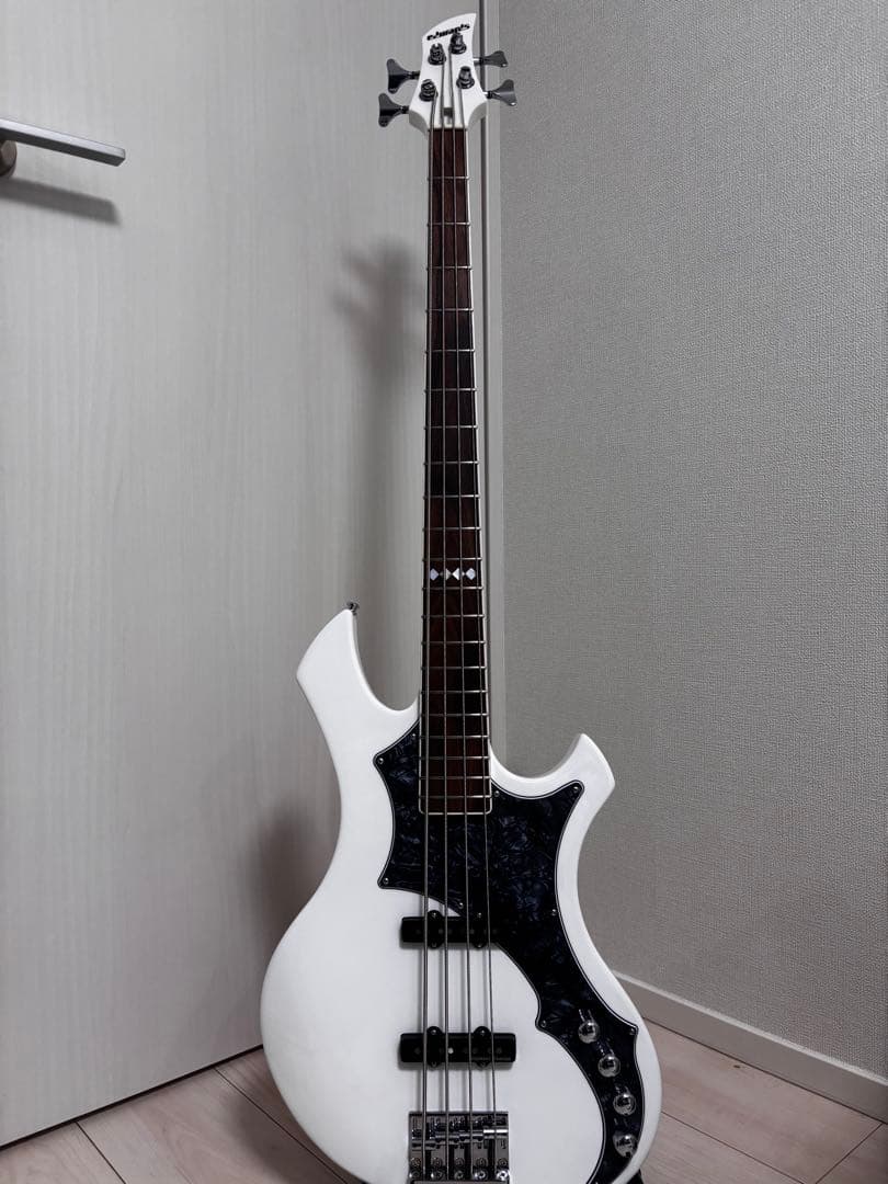 EDWARDS E-RF-137SL ベース　ESP the gazette
