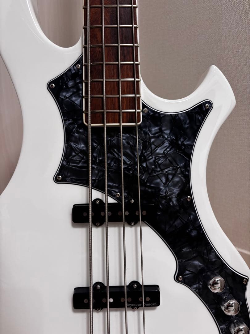 EDWARDS E-RF-137SL ベース　ESP the gazette