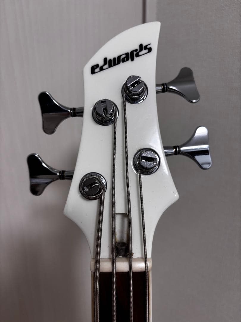 EDWARDS E-RF-137SL ベース　ESP the gazette