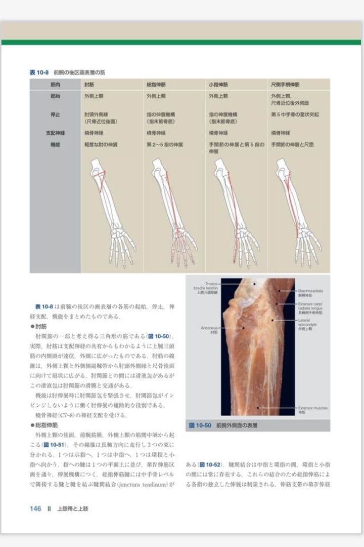 裁断済み 運動器臨床解剖アトラス