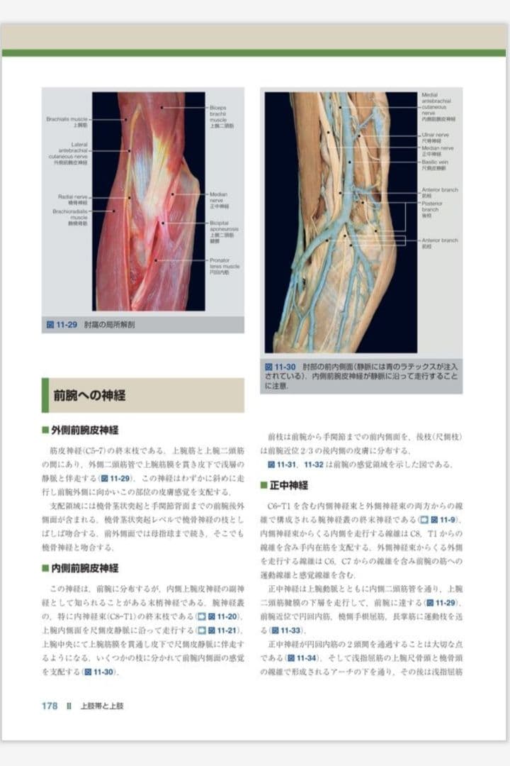 裁断済み 運動器臨床解剖アトラス