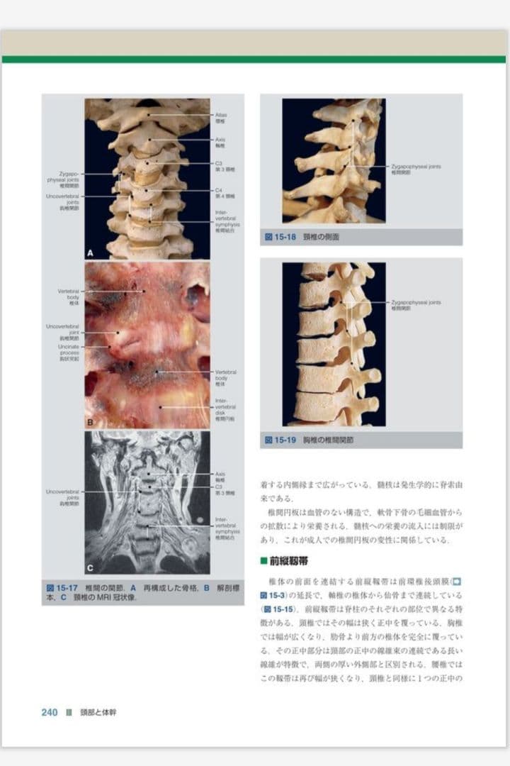 裁断済み 運動器臨床解剖アトラス