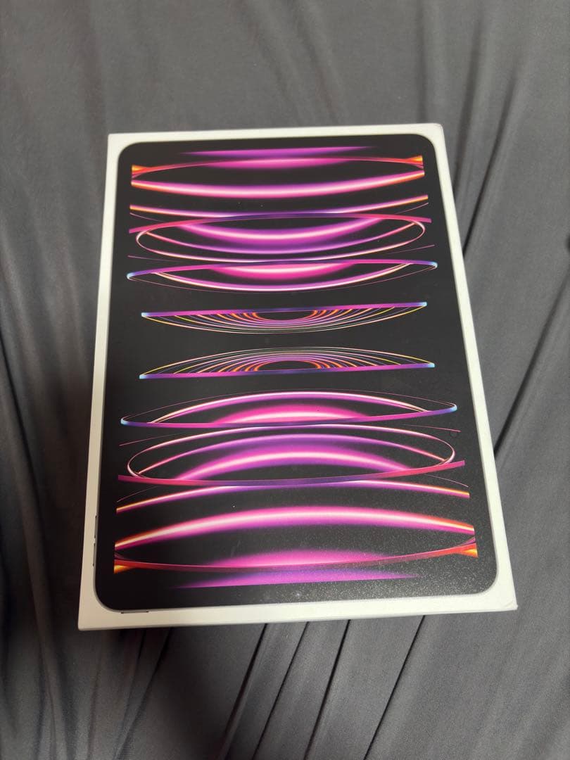 iPad Pro 11インチ第4世代　m2チップ　値下げ不可