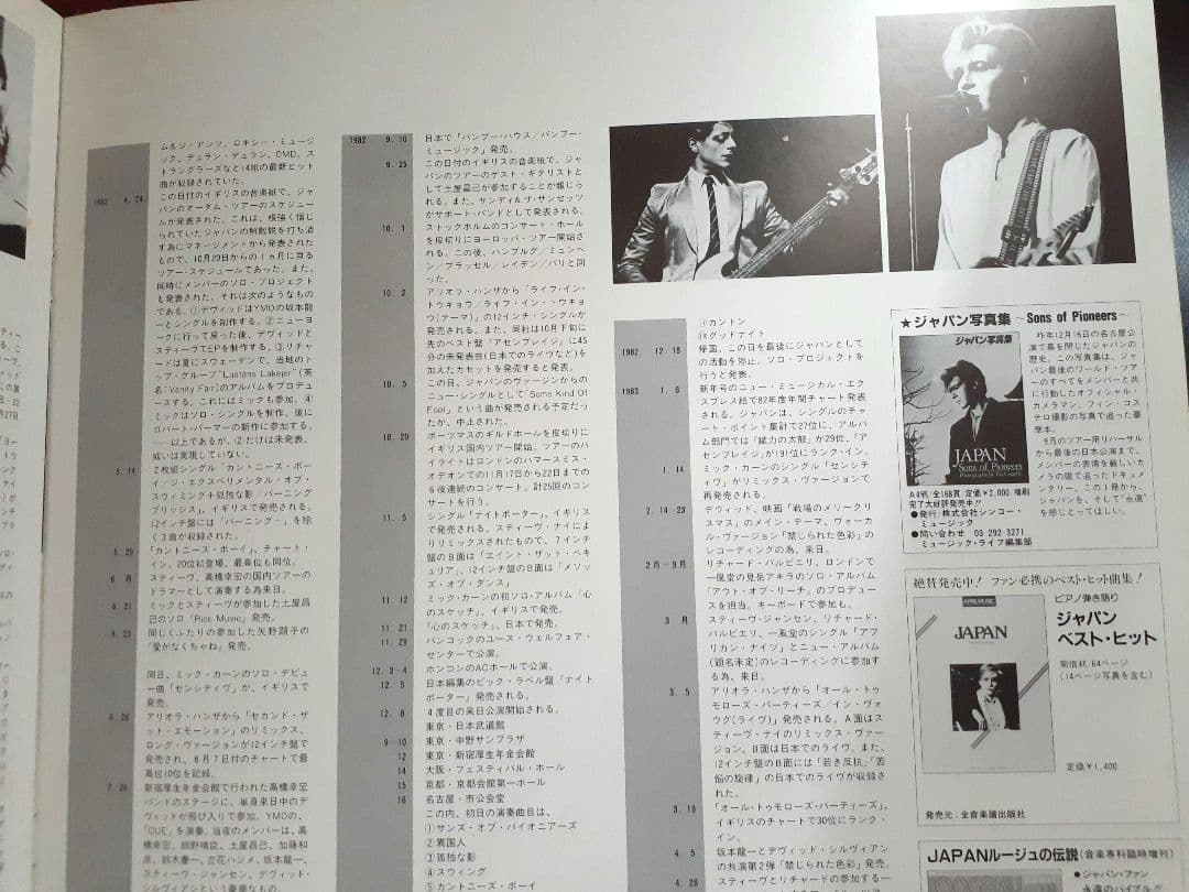 ジャパン　オイルオンキャンバス2LP レコード