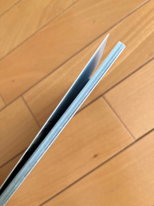 ホンマタカシ　きわめてよいふうけい　中平卓馬