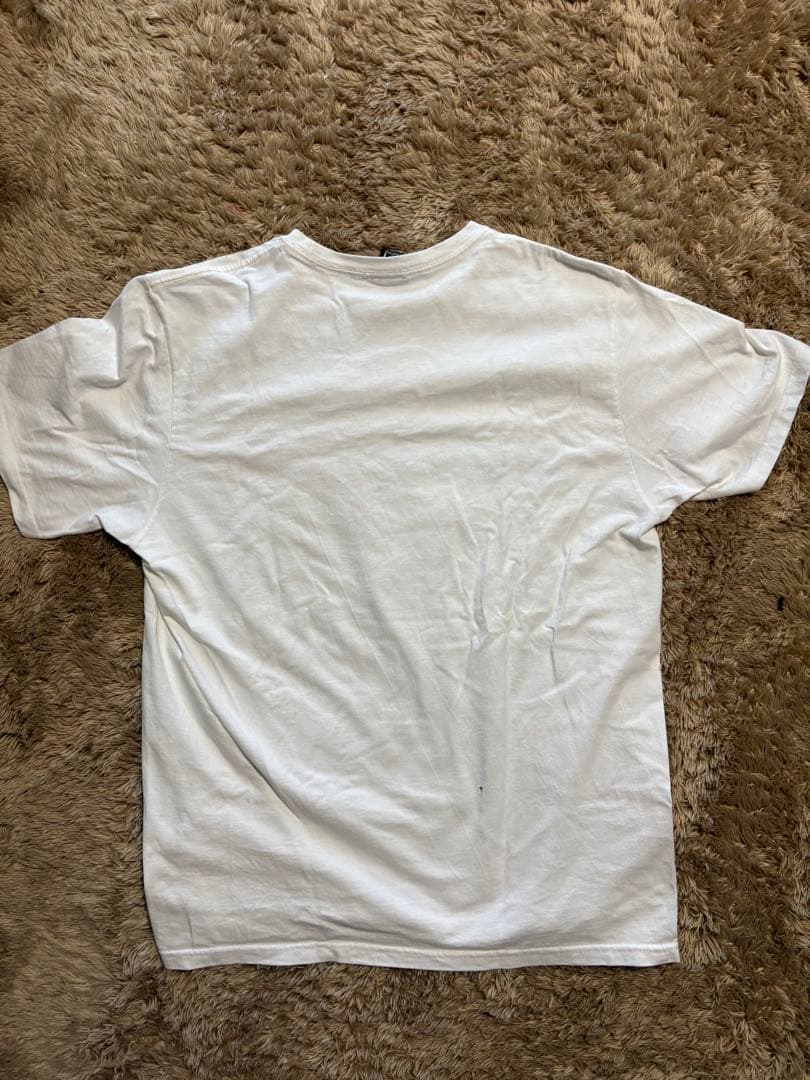 STUSSY SPORT Tシャツ