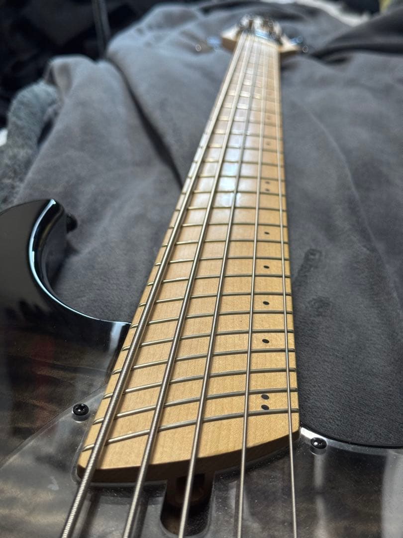 Dingwall Combustion 5弦ベース