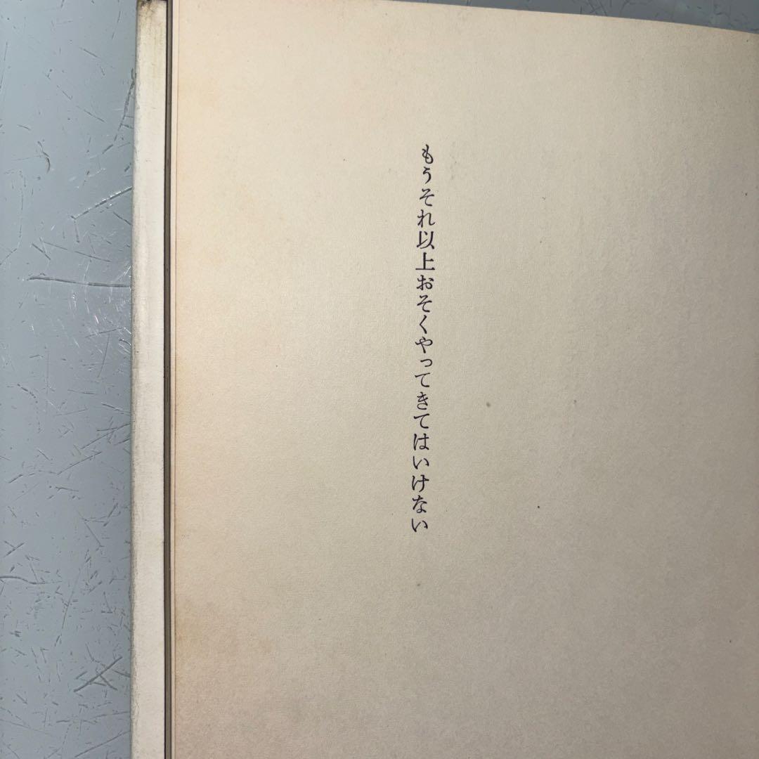 もうそれ以上おそくやってはいけない　白石かずこ