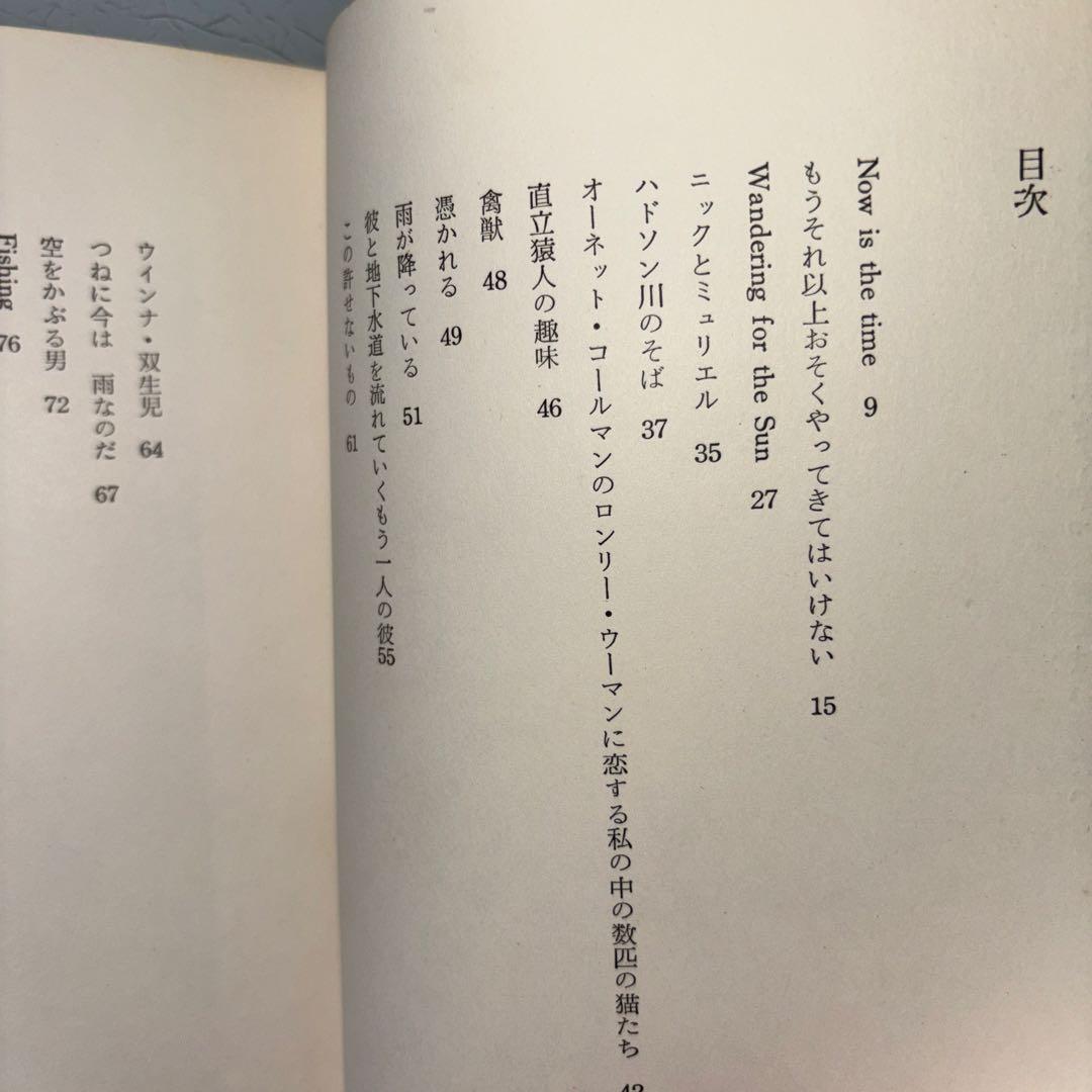 もうそれ以上おそくやってはいけない　白石かずこ