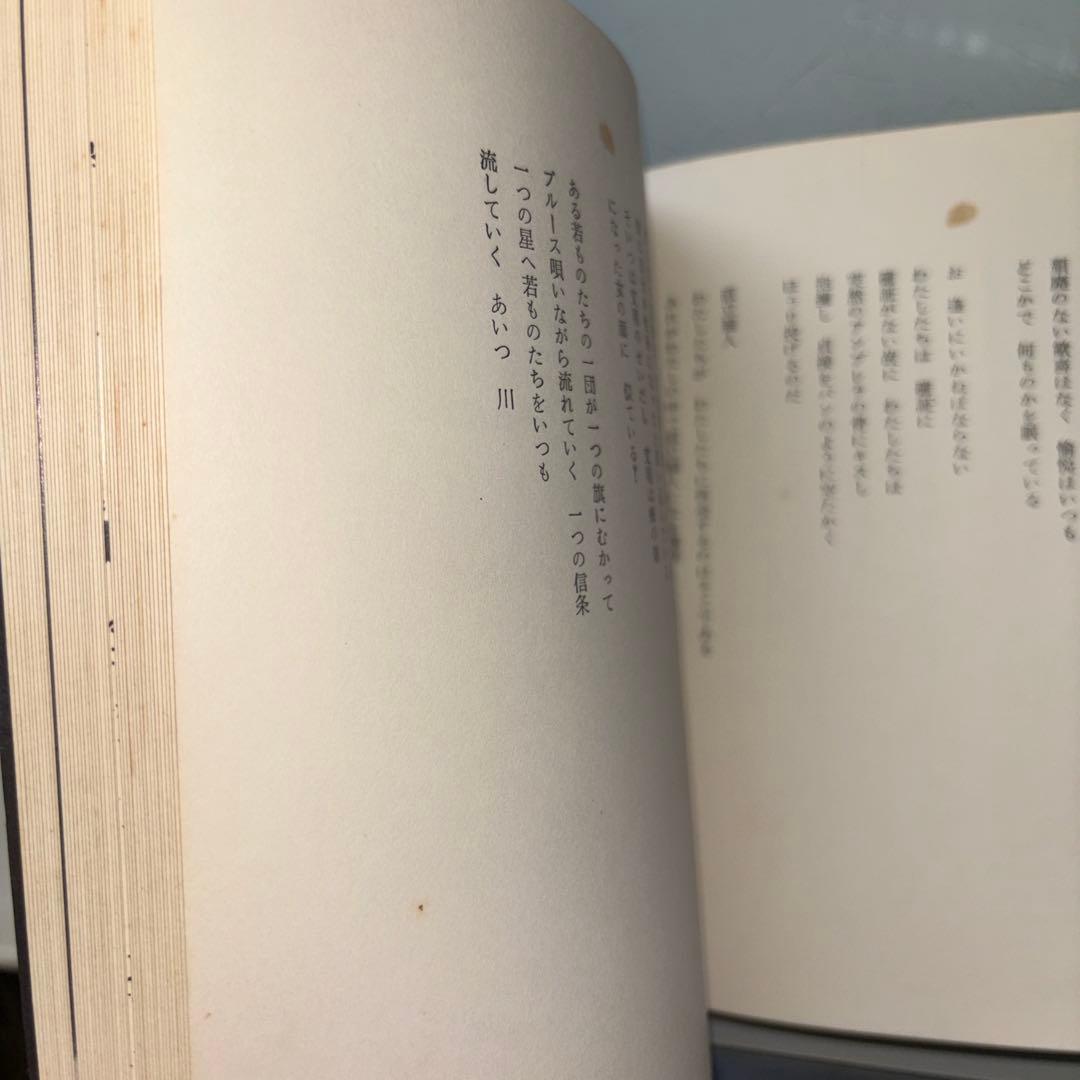 もうそれ以上おそくやってはいけない　白石かずこ