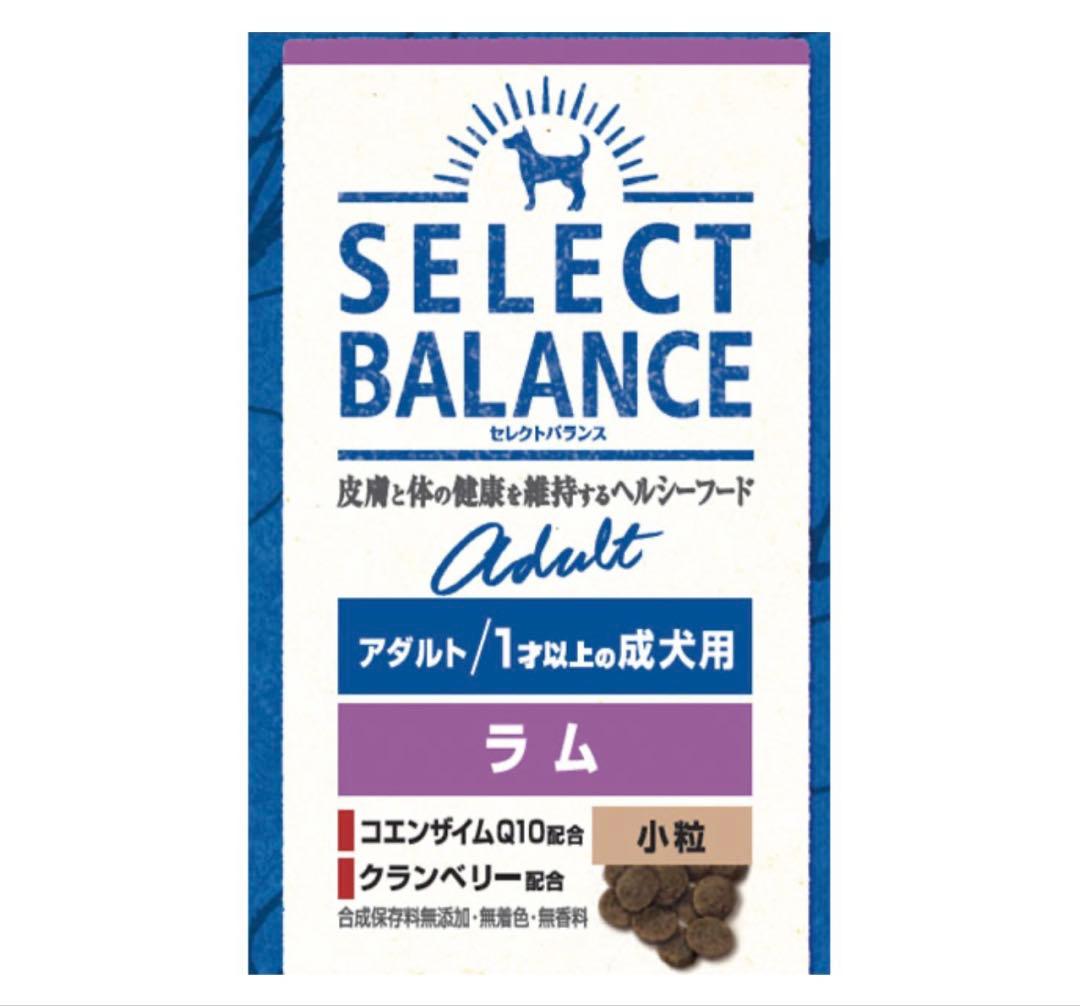 アダラム15
