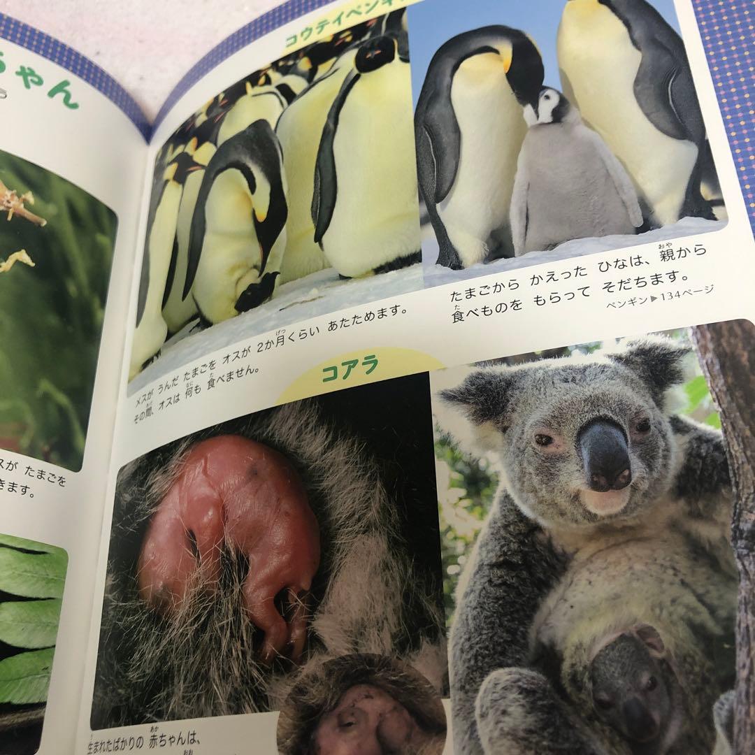 まだある！ふしぎの図鑑 プレNEO