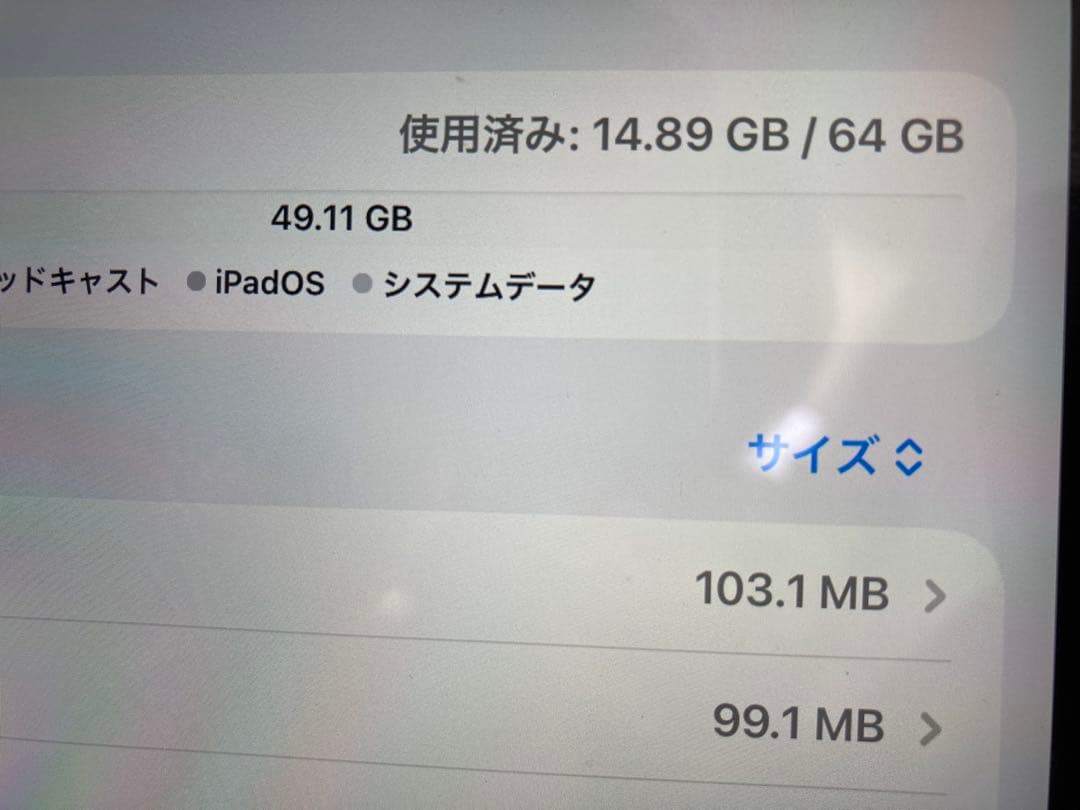 iPad 本体
