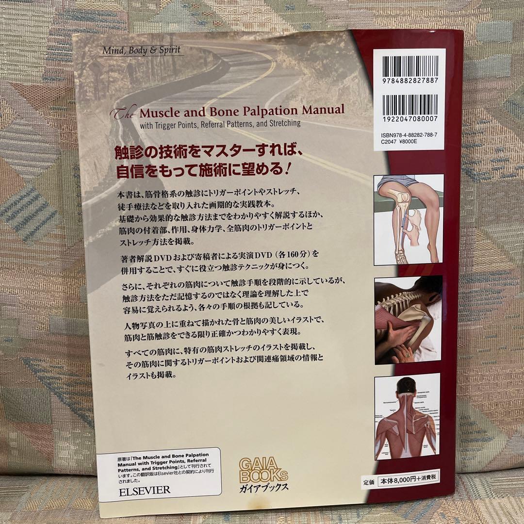 筋骨格系の触診マニュアル DVD付き　美品