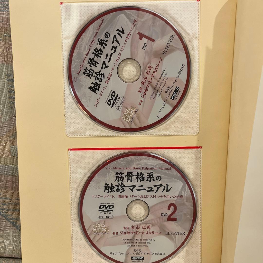 筋骨格系の触診マニュアル DVD付き　美品